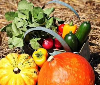 vitamine gesund gemüse